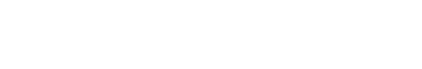 WORT27